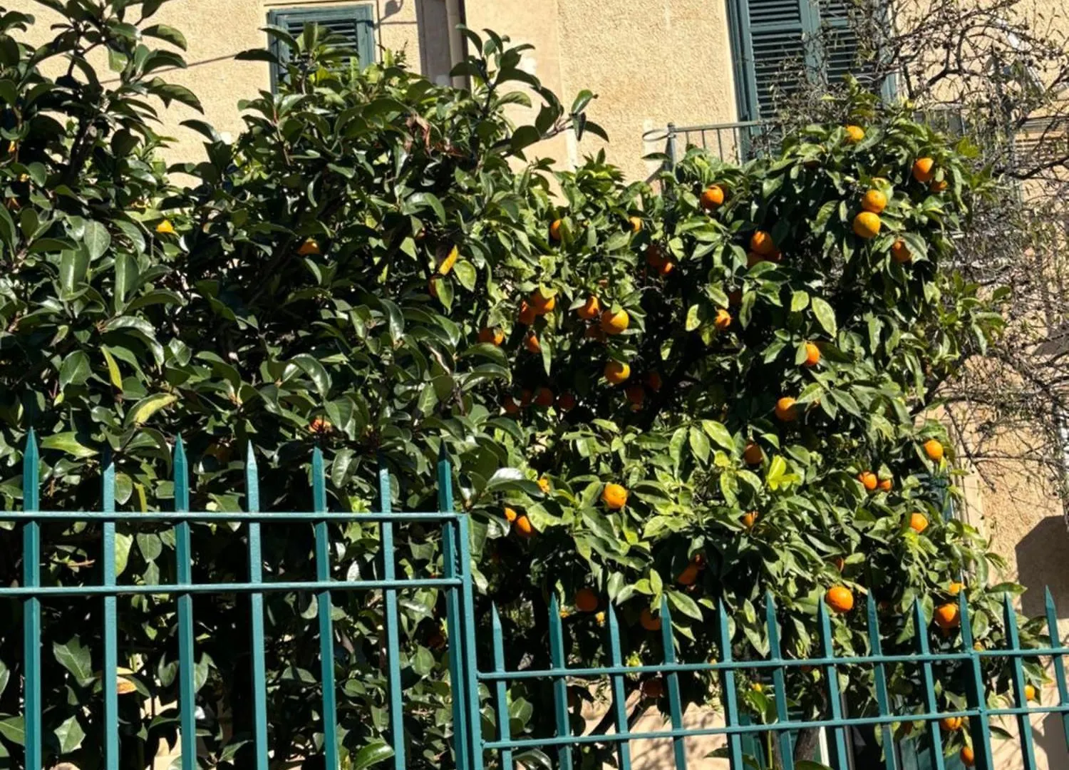 Matteotti Living And Garden Apartment Palermo